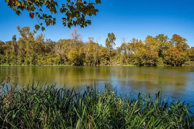 a view of a lake with a mountain in the background