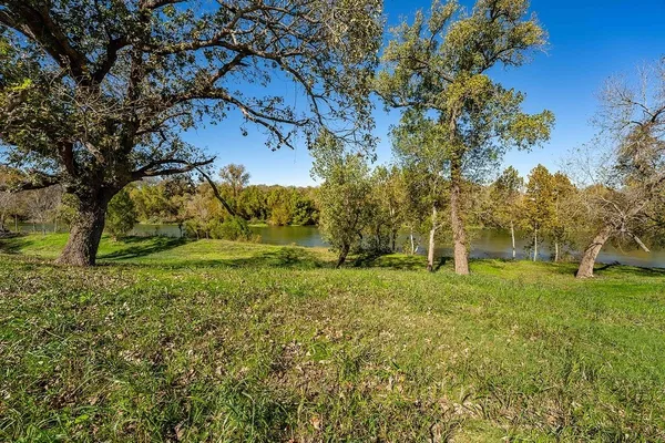 a view of backyard with green space