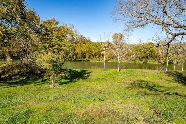 a view of a yard with a tree