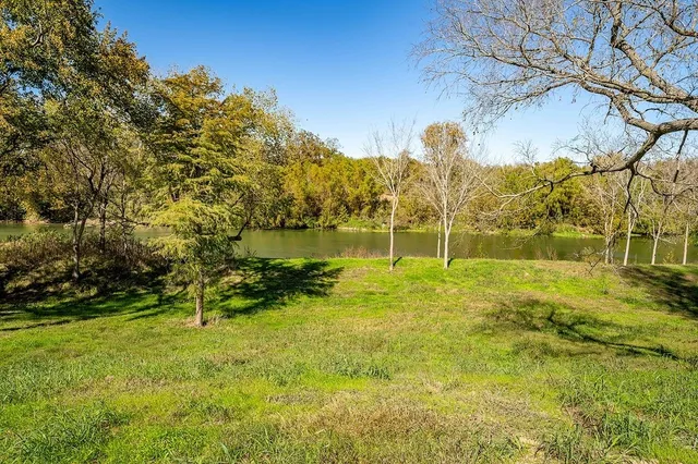 a view of a yard with a tree