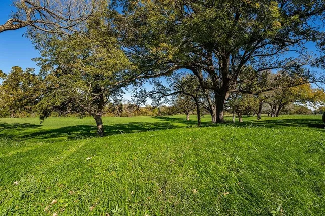 a view of field with tree s