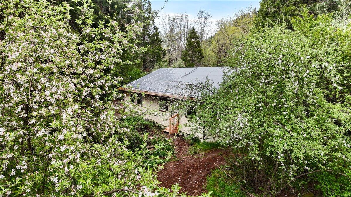 9020 Elk Creek Road Trail, OR 97541 - Photo 3 of 32 03-DJI_20250426153914_0189_D