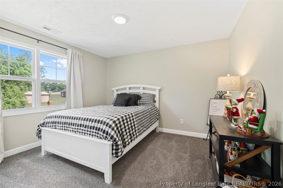 5512 Tolarsville Road St. Pauls, NC 28384 - Photo 16 of 21 Additional Bedroom
