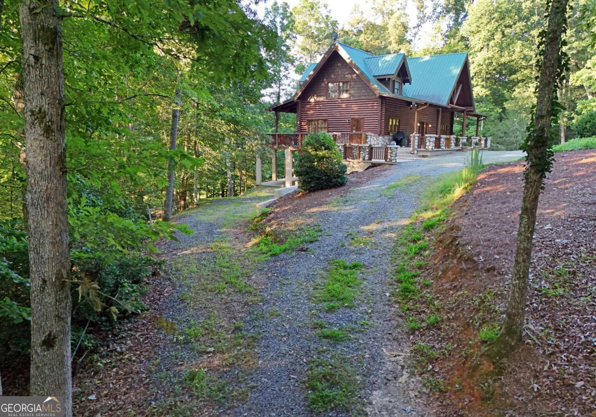2682 Douthit Road Mineral Bluff, GA 30559 - Photo 58 of 60