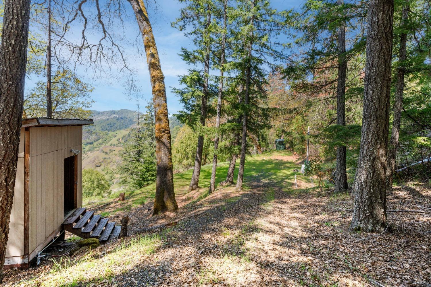 15800 Ridgeview Road Willits, CA 95490 - Photo 4 of 10 Gallery Image 4