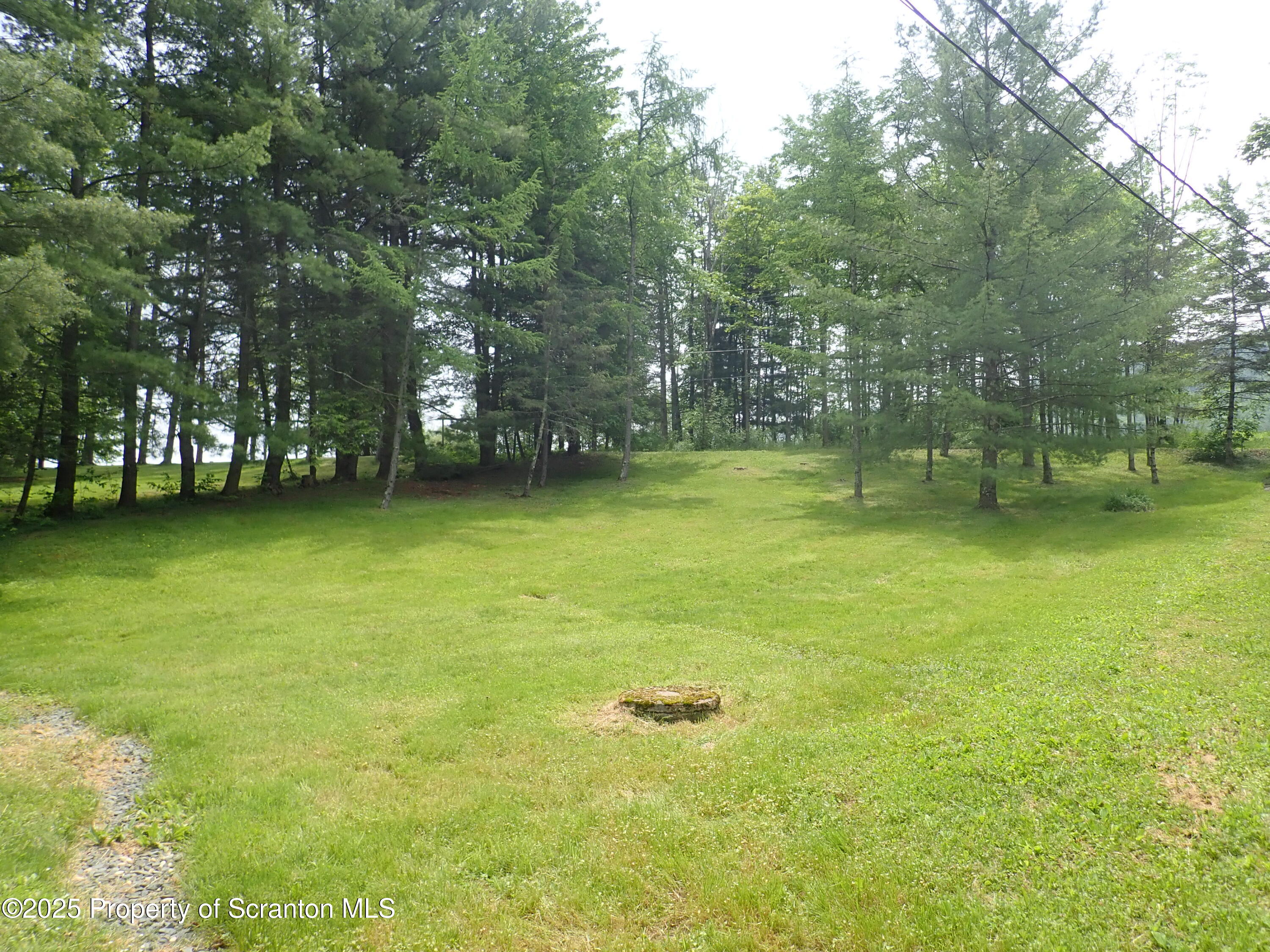 265 South Lk Road Montrose, PA 18801 - Photo 32 of 34 yard