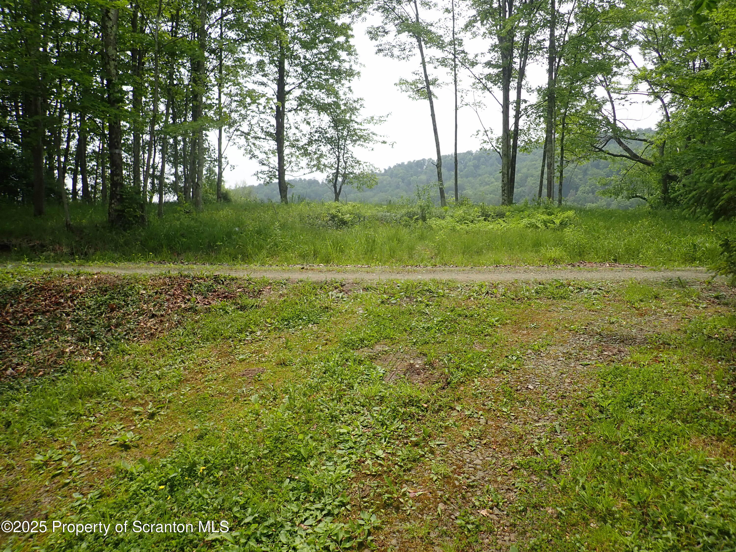 265 South Lk Road Montrose, PA 18801 - Photo 33 of 34 view