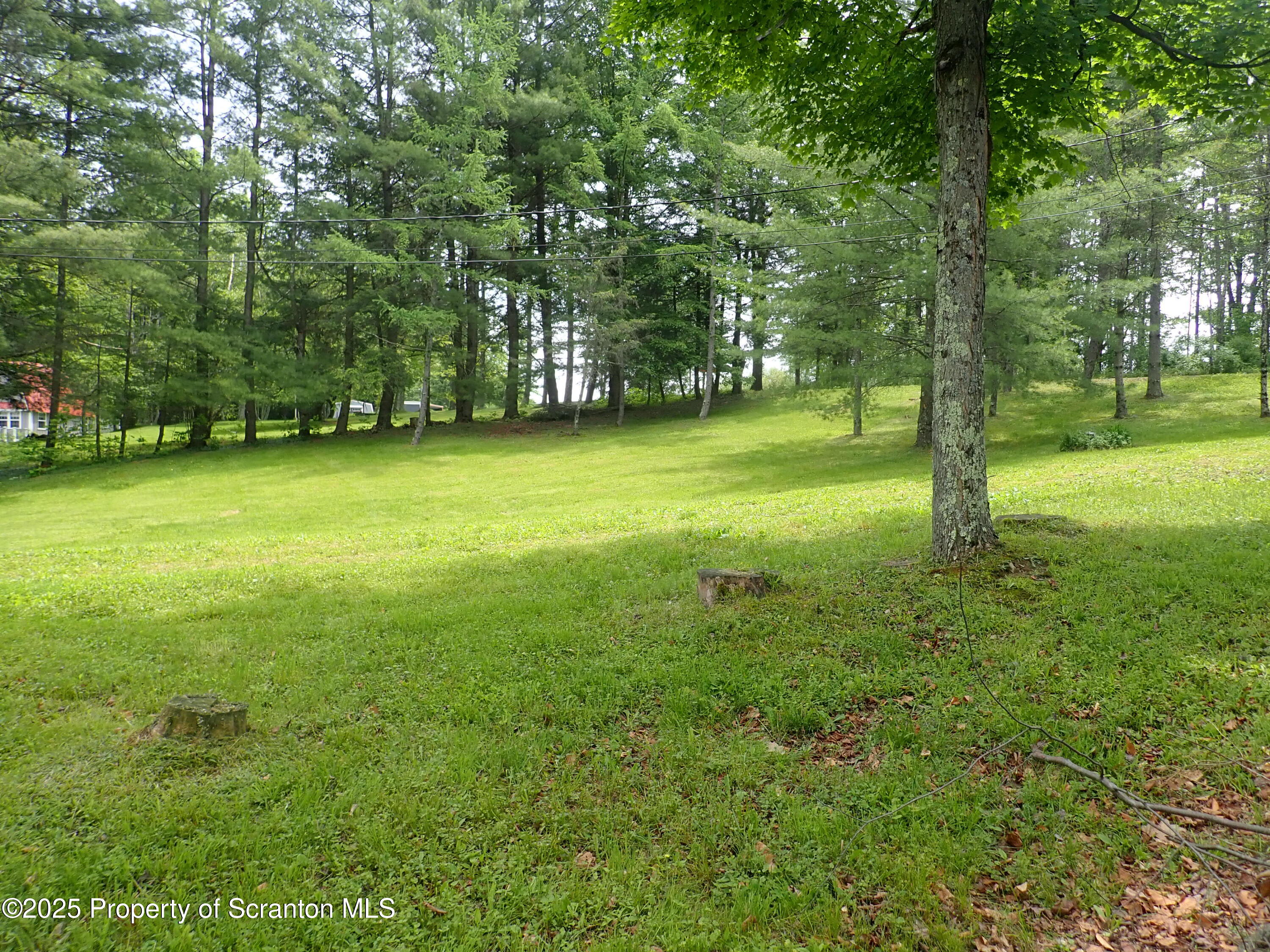 265 South Lk Road Montrose, PA 18801 - Photo 10 of 34 yard
