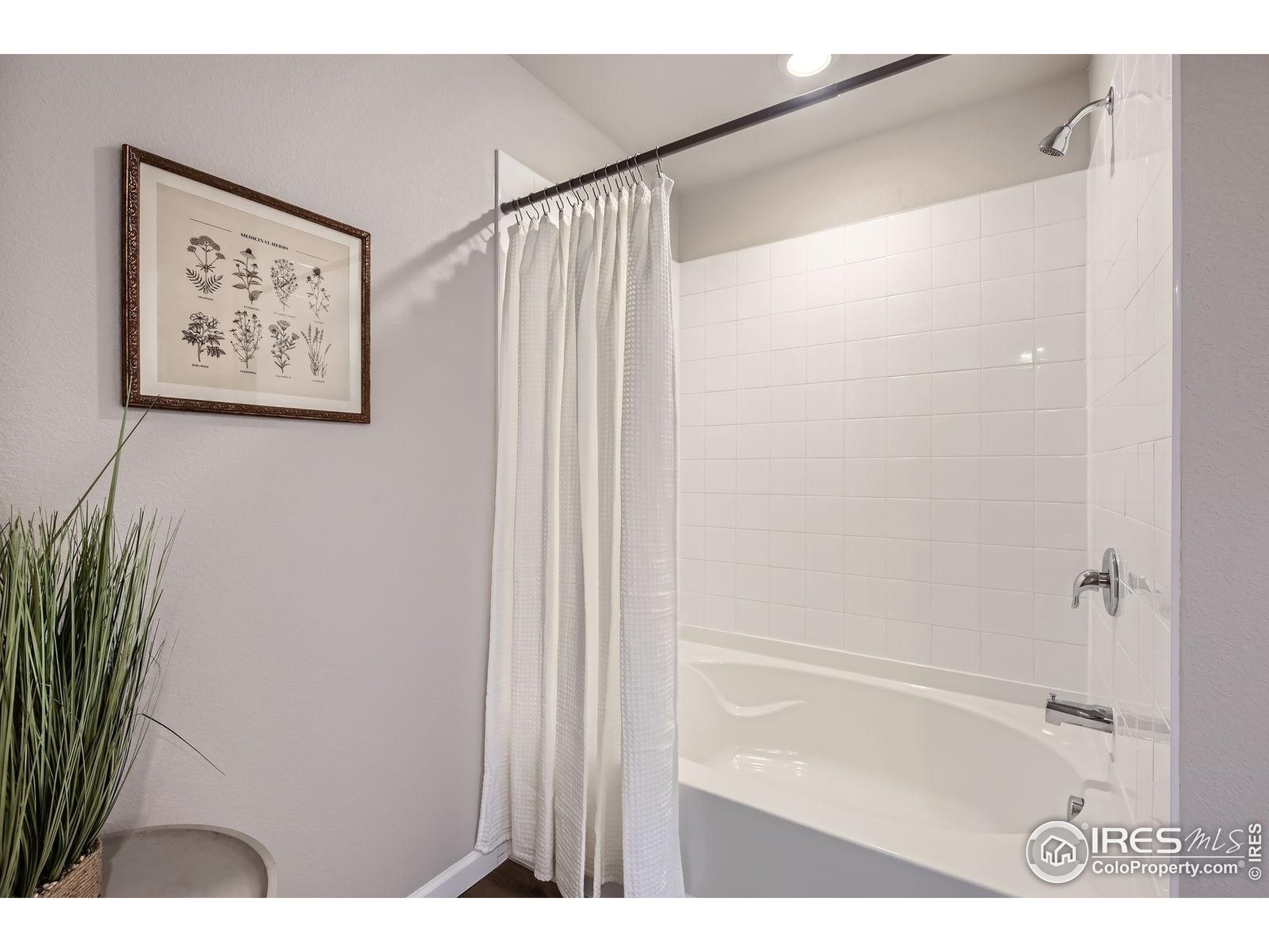 177 Robin Road Johnstown, CO 80534 - Photo 17 of 40