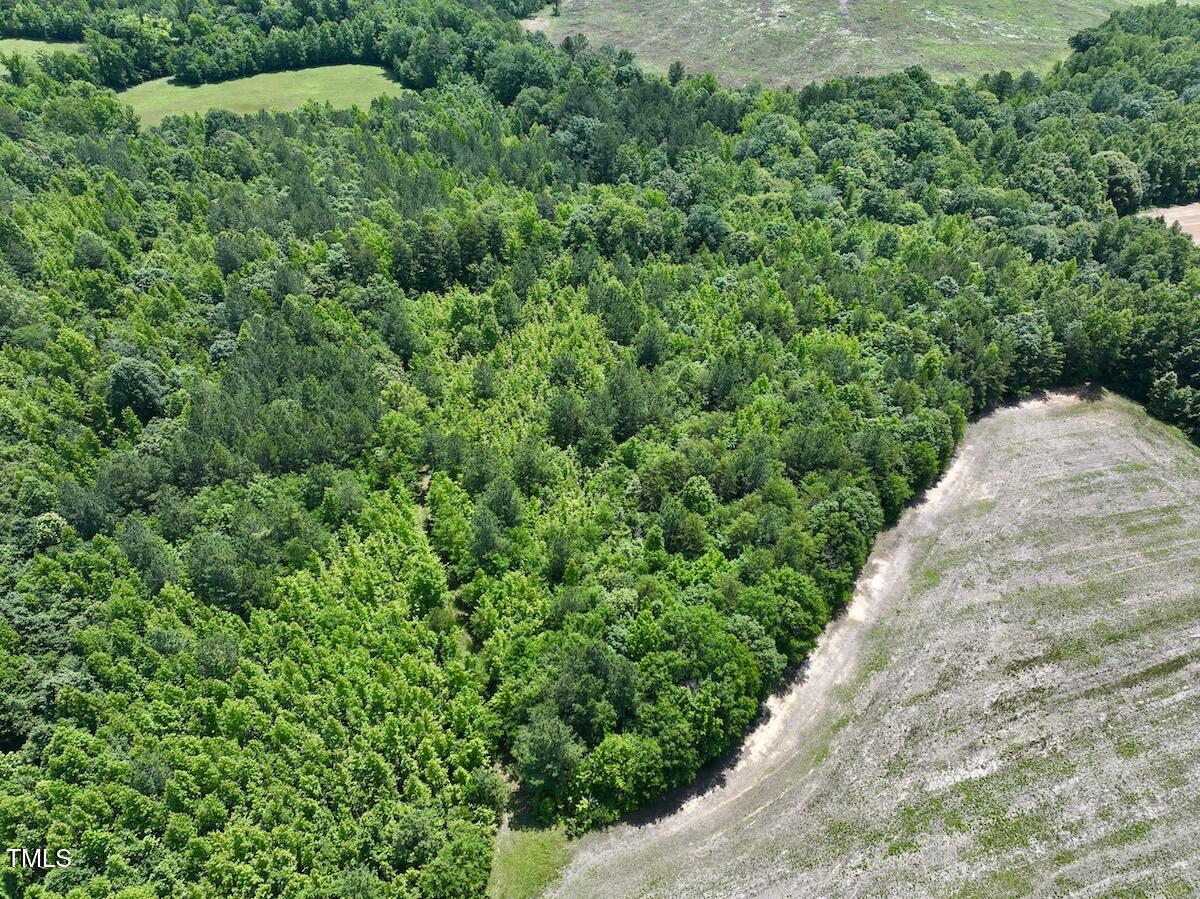 0 High View Church Road Roxboro, NC 27574 - Photo 25 of 26 2