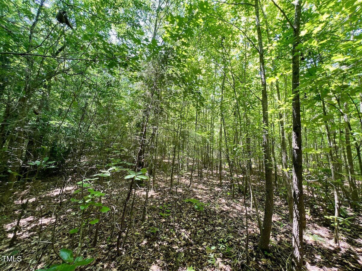 0 High View Church Road Roxboro, NC 27574 - Photo 5 of 26 22a