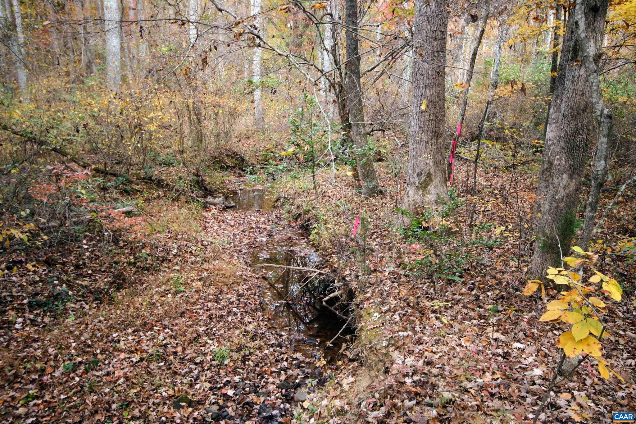 Tba Ridge Road, Unit 1 Arvonia, VA 23004 - Photo 15 of 50 a view of a yard with plants and trees