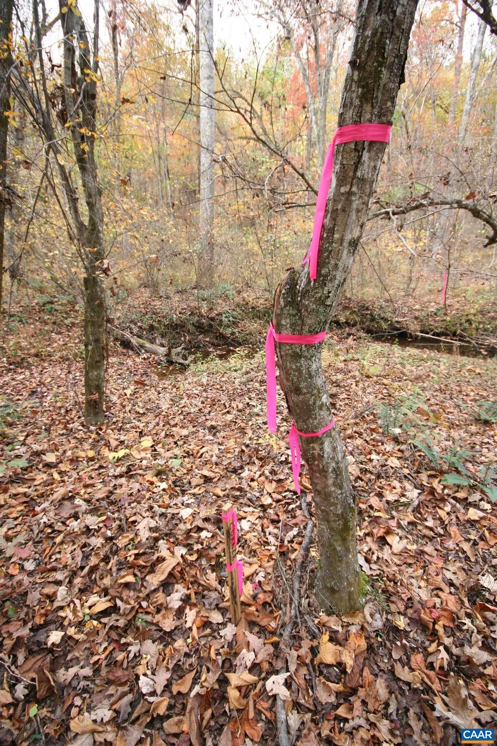 Tba Ridge Road, Unit 1 Arvonia, VA 23004 - Photo 17 of 50 a view of yard
