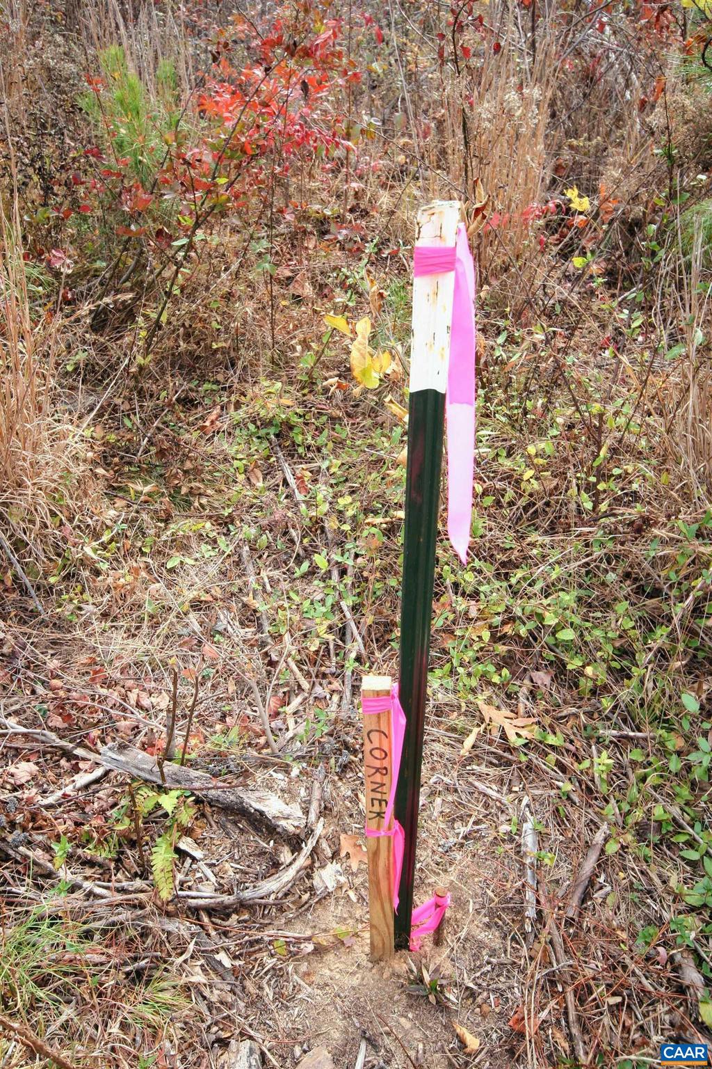 Tba Ridge Road, Unit 1 Arvonia, VA 23004 - Photo 19 of 50 a flag is sitting in the middle of a forest