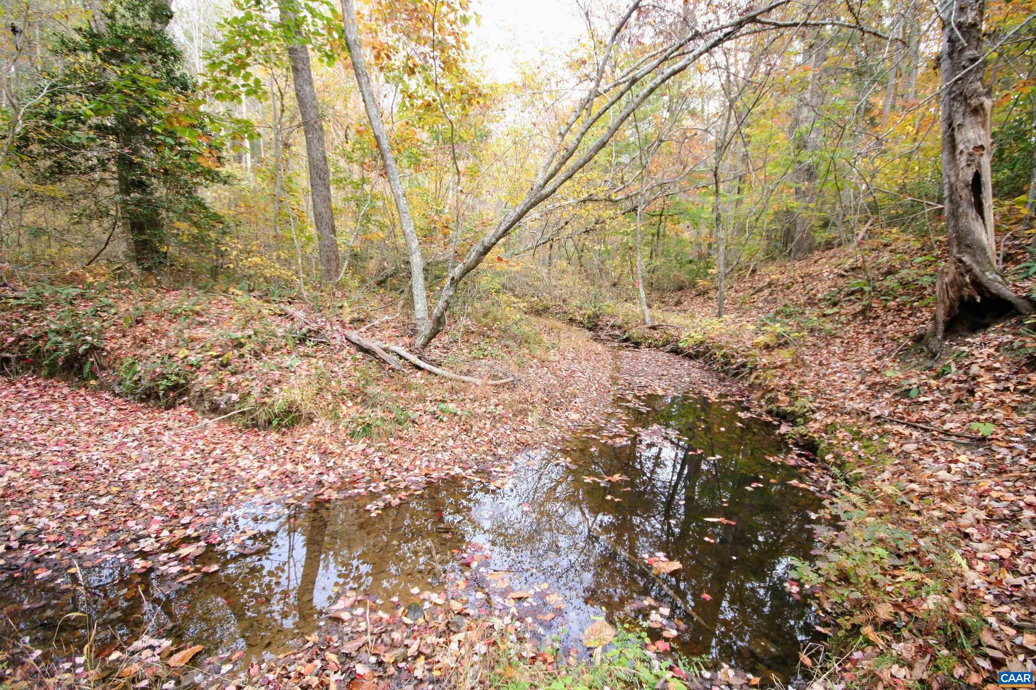 Tba Ridge Road, Unit 1 Arvonia, VA 23004 - Photo 2 of 50 a backyard of a house with lots of green space