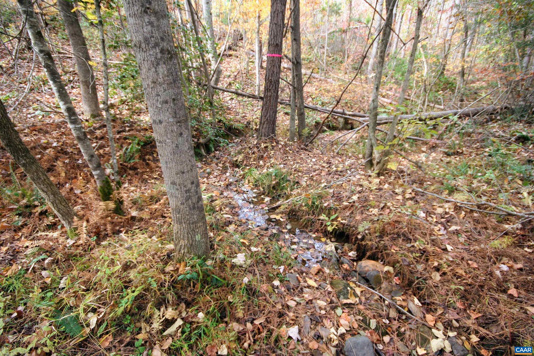Tba Ridge Road, Unit 1 Arvonia, VA 23004 - Photo 21 of 50 a view of a yard