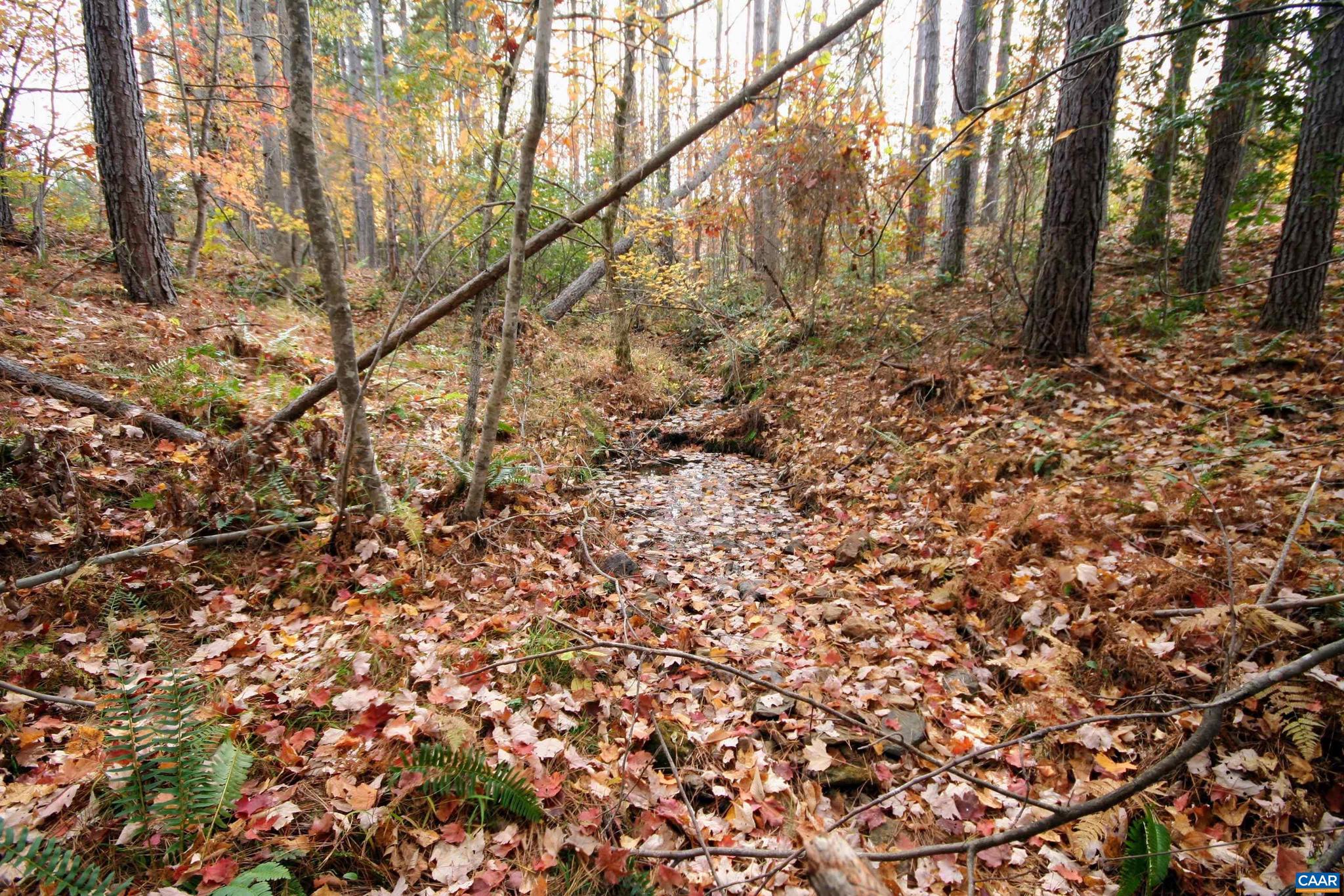 Tba Ridge Road, Unit 1 Arvonia, VA 23004 - Photo 22 of 50 a view of a yard with a tree