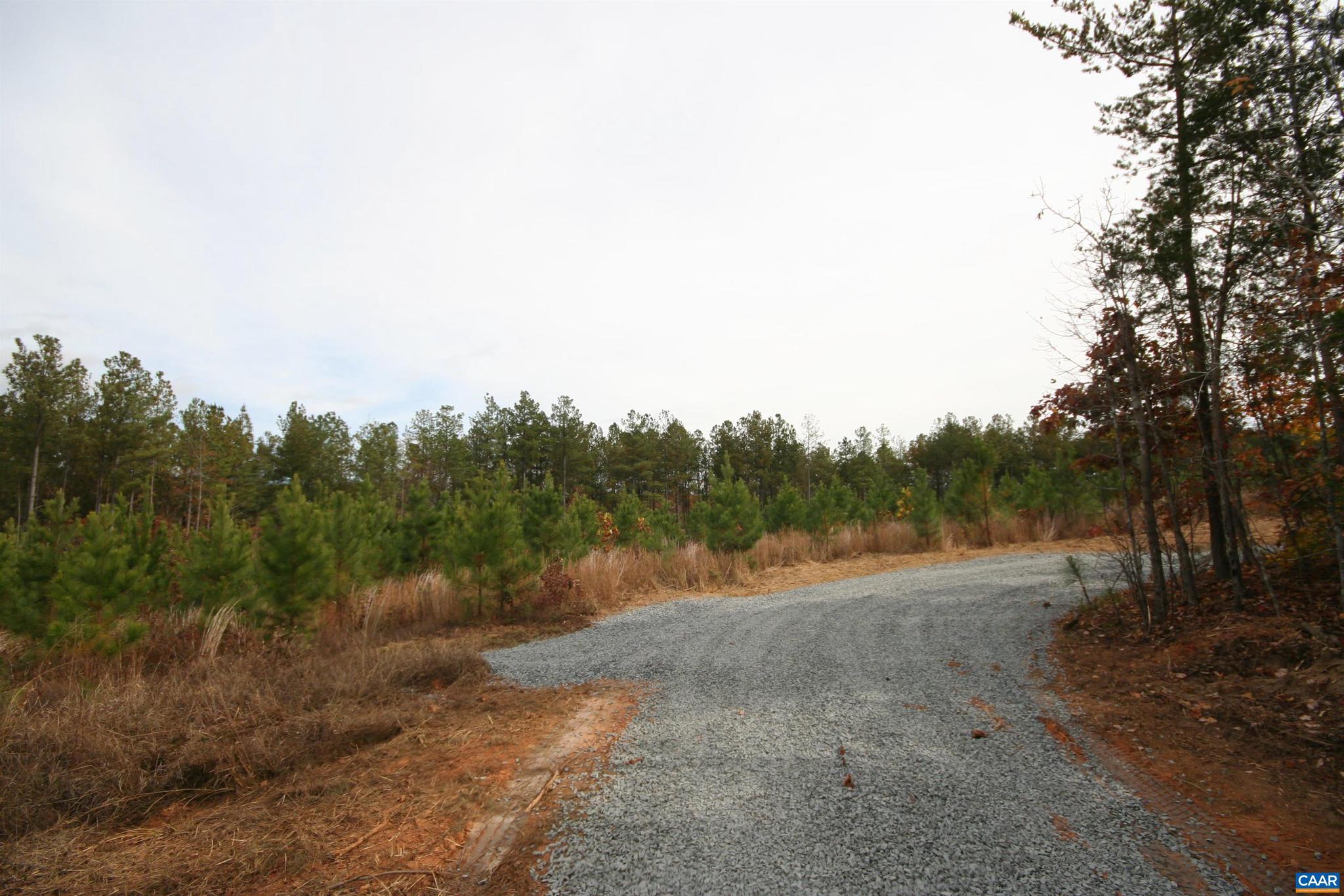 Tba Ridge Road, Unit 1 Arvonia, VA 23004 - Photo 26 of 50 a view of dirt field with trees