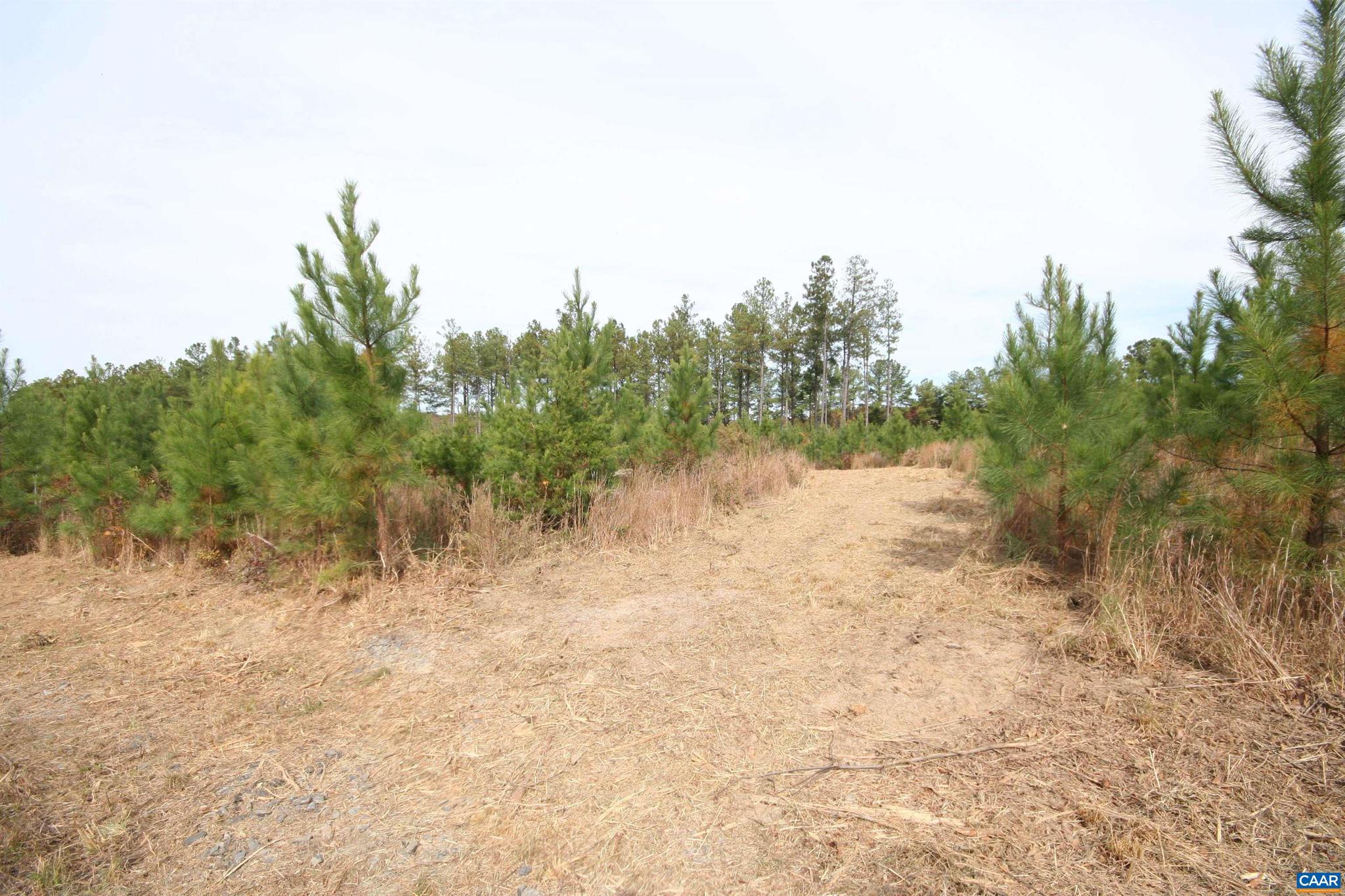 Tba Ridge Road, Unit 1 Arvonia, VA 23004 - Photo 27 of 50 a view of a lake with trees in the background
