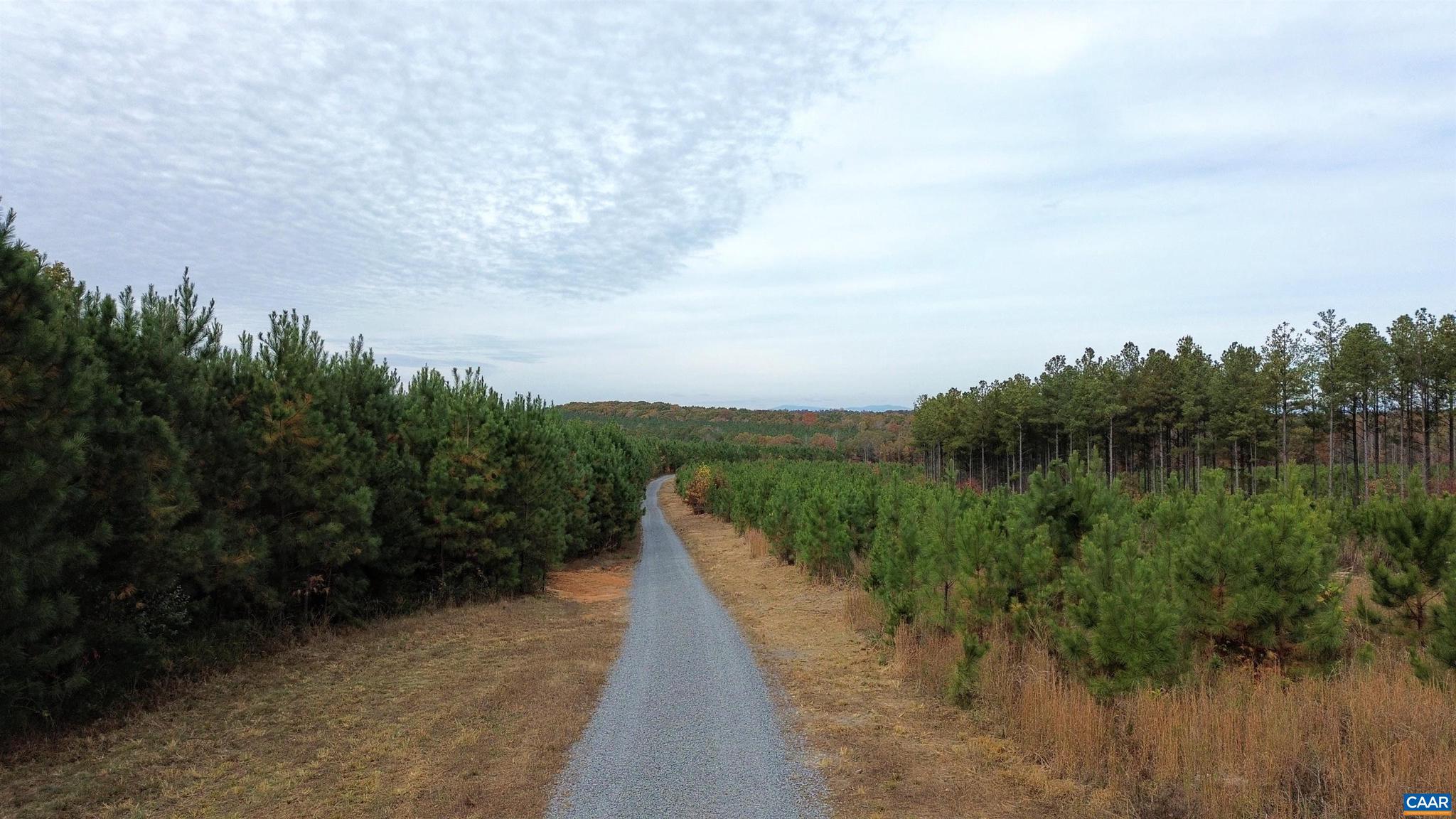 Tba Ridge Road, Unit 1 Arvonia, VA 23004 - Photo 29 of 50 a view of a lake with a yard
