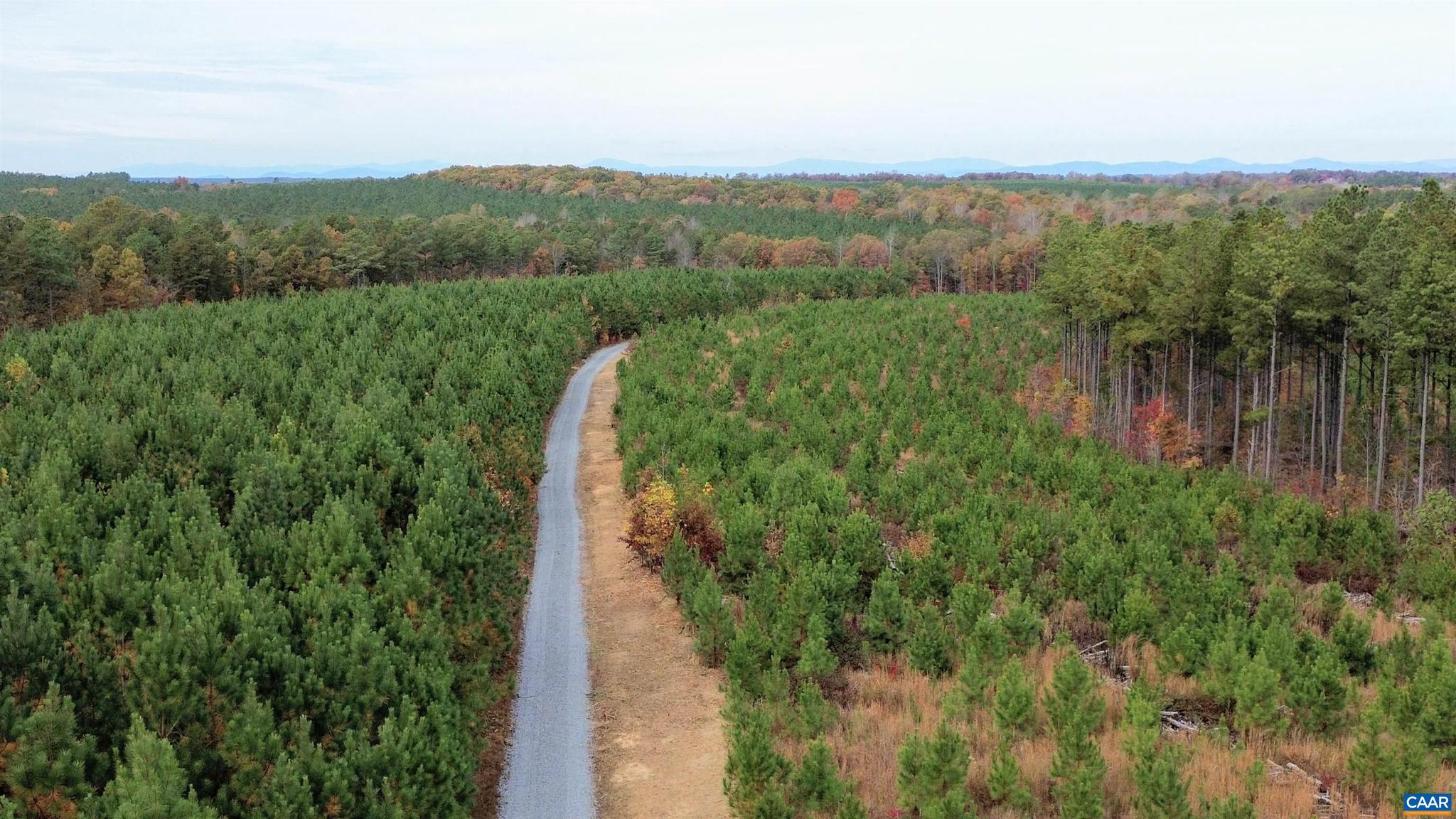 Tba Ridge Road, Unit 1 Arvonia, VA 23004 - Photo 31 of 50 a view of a lush green forest with trees in the background