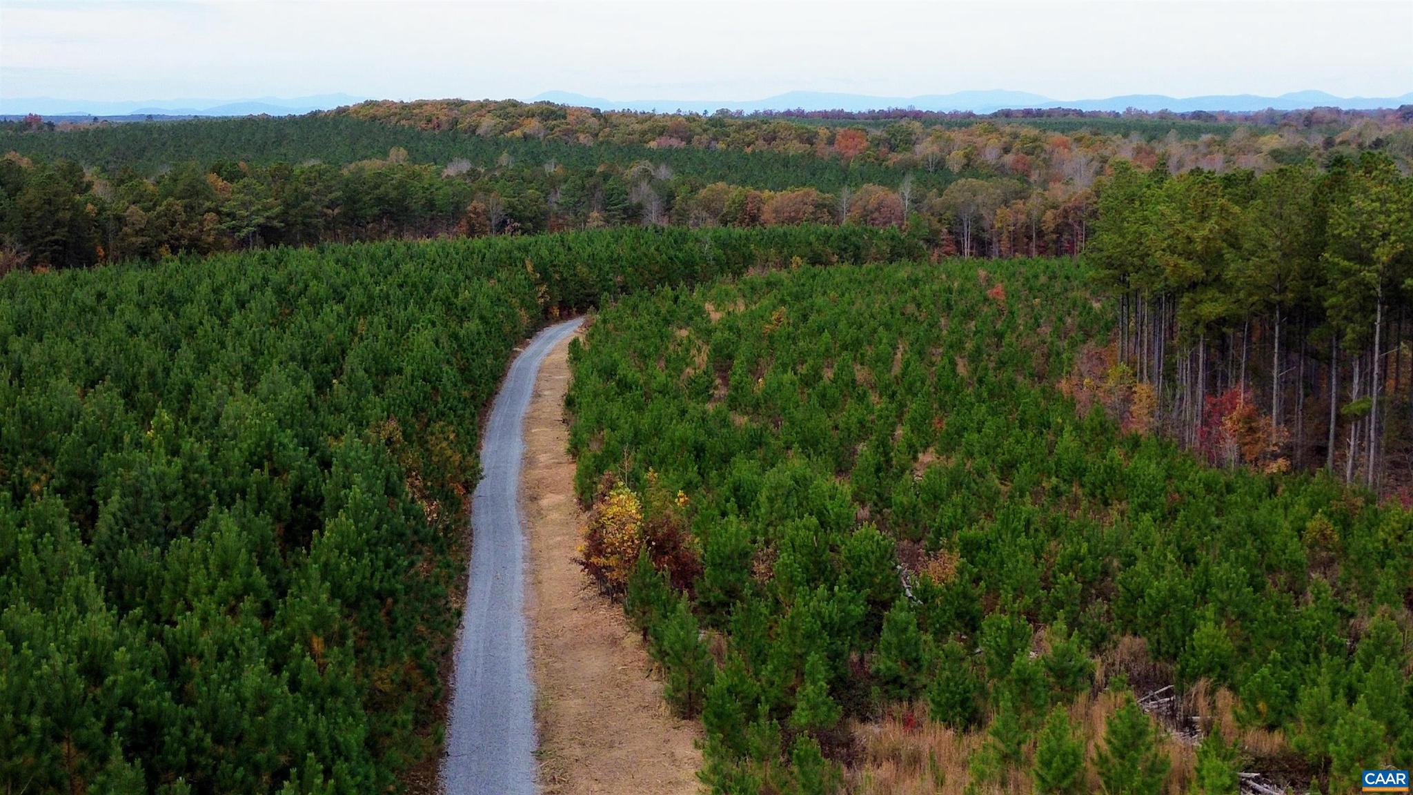 Tba Ridge Road, Unit 1 Arvonia, VA 23004 - Photo 32 of 50 a view of a pathway both side of green field with plants