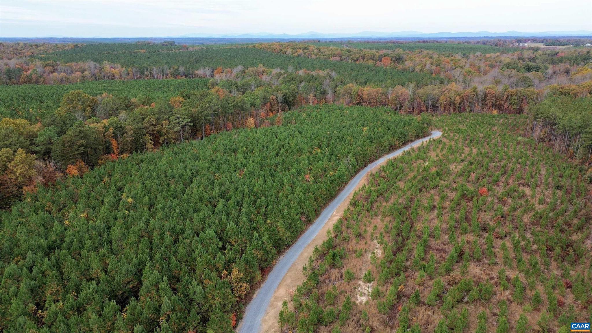 Tba Ridge Road, Unit 1 Arvonia, VA 23004 - Photo 33 of 50 a view of a lush green forest with trees in the background