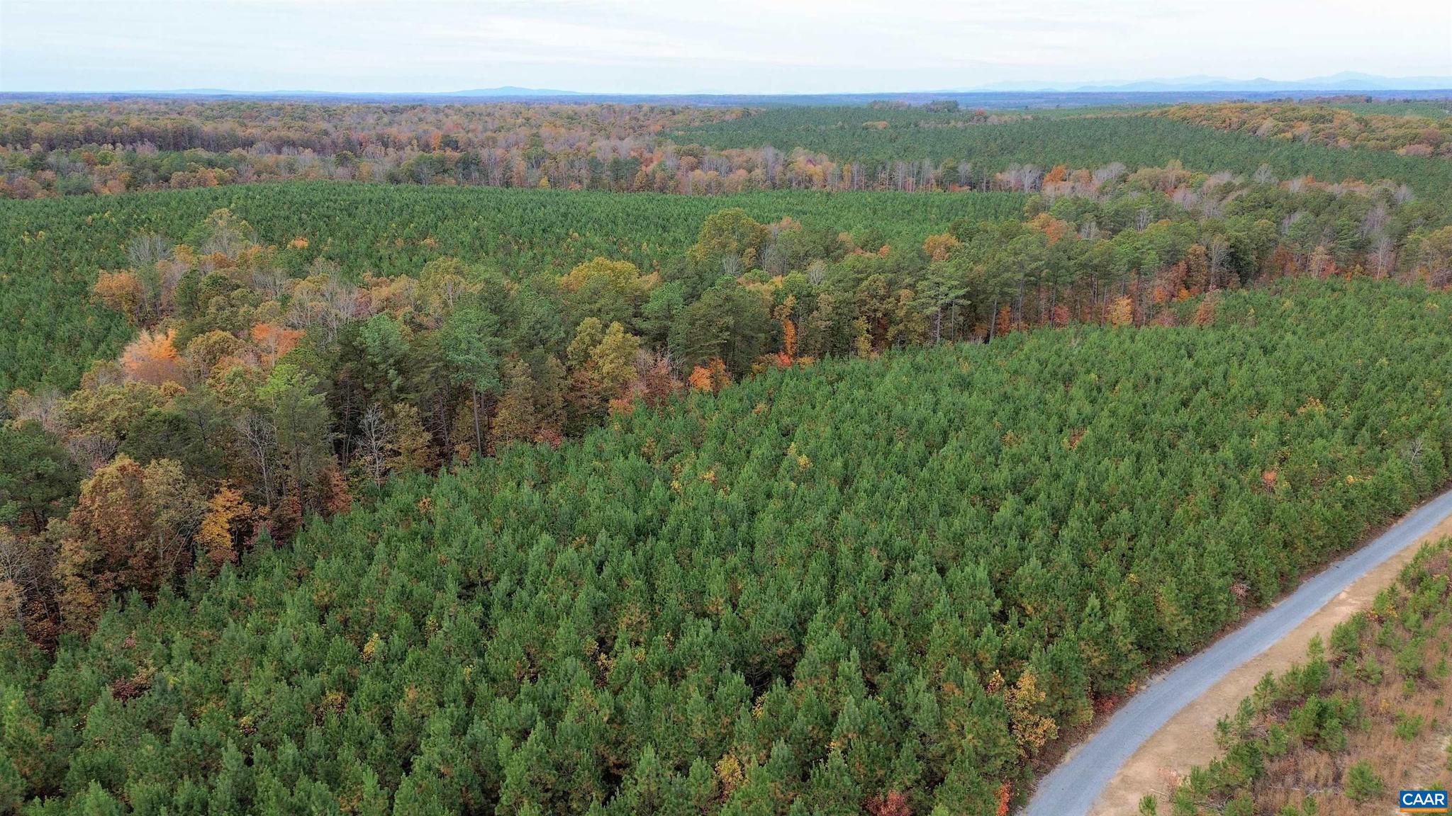 Tba Ridge Road, Unit 1 Arvonia, VA 23004 - Photo 34 of 50 a view of a lush green forest with lush green forest