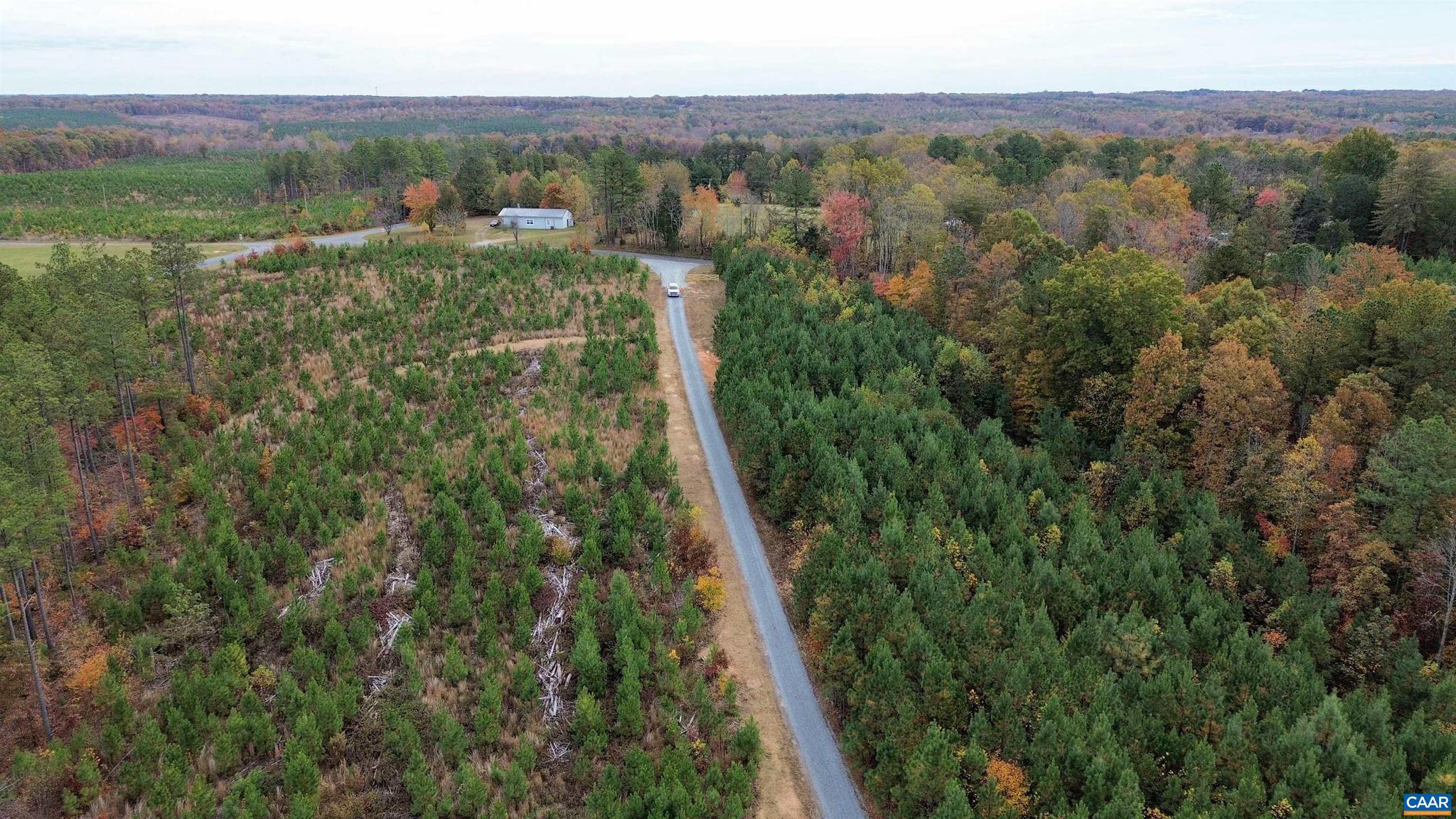 Tba Ridge Road, Unit 1 Arvonia, VA 23004 - Photo 36 of 50 a view of a lush green forest with trees and some houses