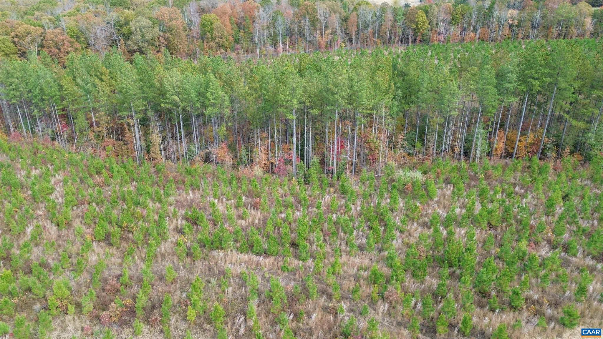 Tba Ridge Road, Unit 1 Arvonia, VA 23004 - Photo 38 of 50 a view of a garden with a tree