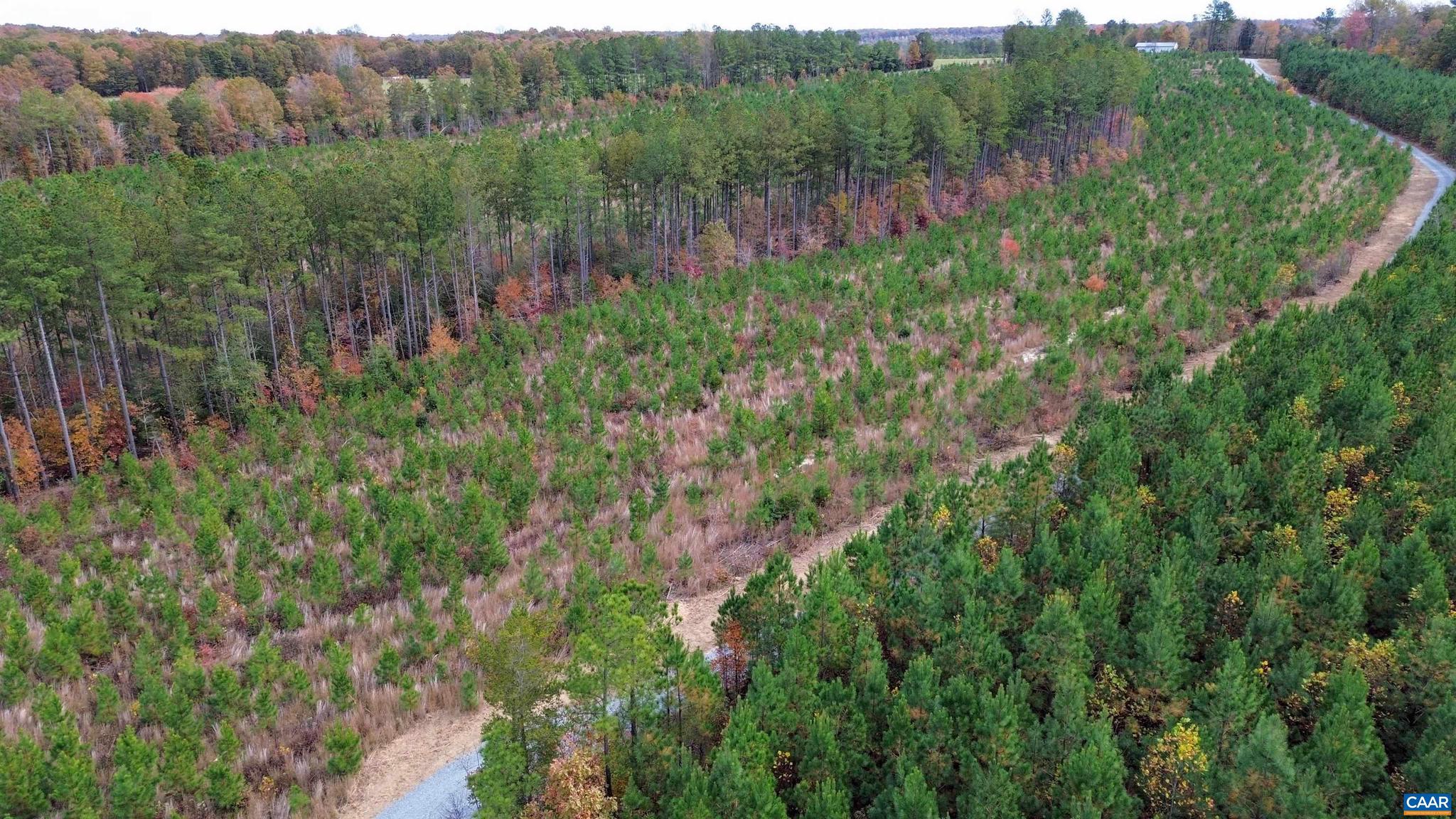 Tba Ridge Road, Unit 1 Arvonia, VA 23004 - Photo 39 of 50 a view of a lush green forest with trees and some houses