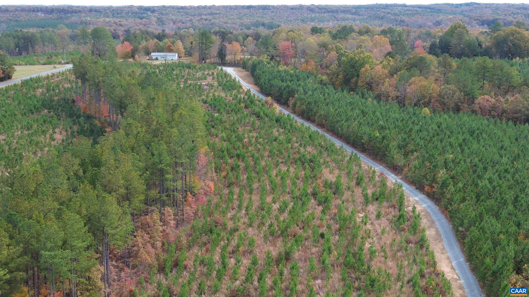 Tba Ridge Road, Unit 1 Arvonia, VA 23004 - Photo 41 of 50 a view of mountain with a lush green forest