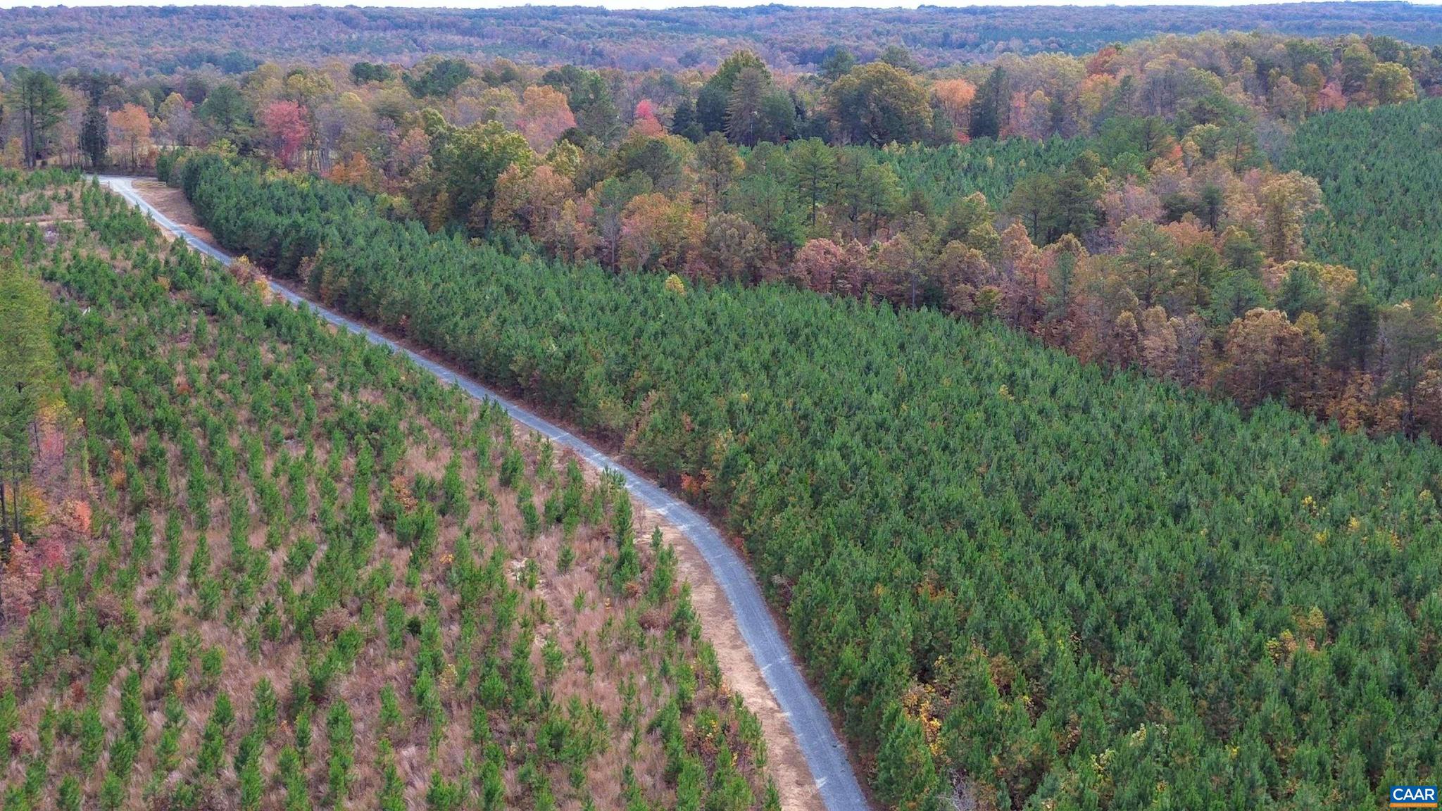 Tba Ridge Road, Unit 1 Arvonia, VA 23004 - Photo 42 of 50 a view of mountain with a lush green forest