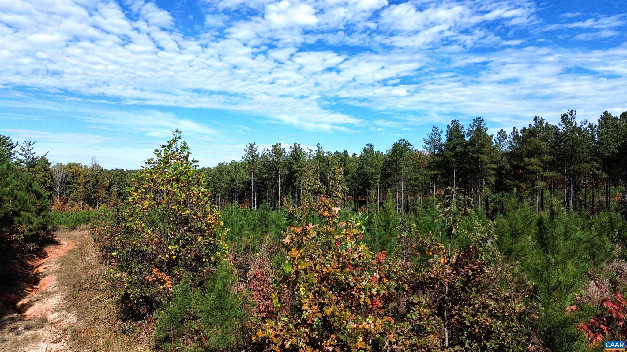 Tba Ridge Road, Unit 1 Arvonia, VA 23004 - Photo 43 of 50 a view of a lake with a tree in the background