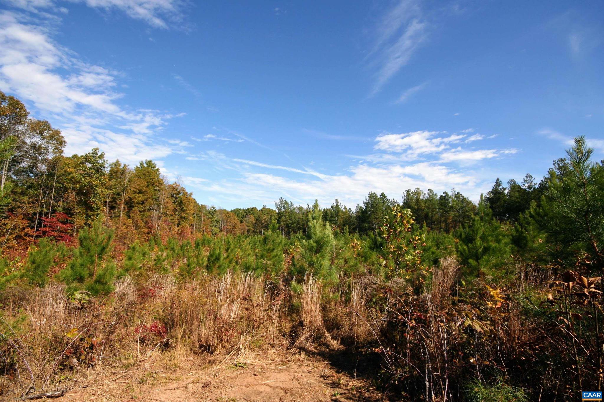 Tba Ridge Road, Unit 1 Arvonia, VA 23004 - Photo 45 of 50 a view of a yard