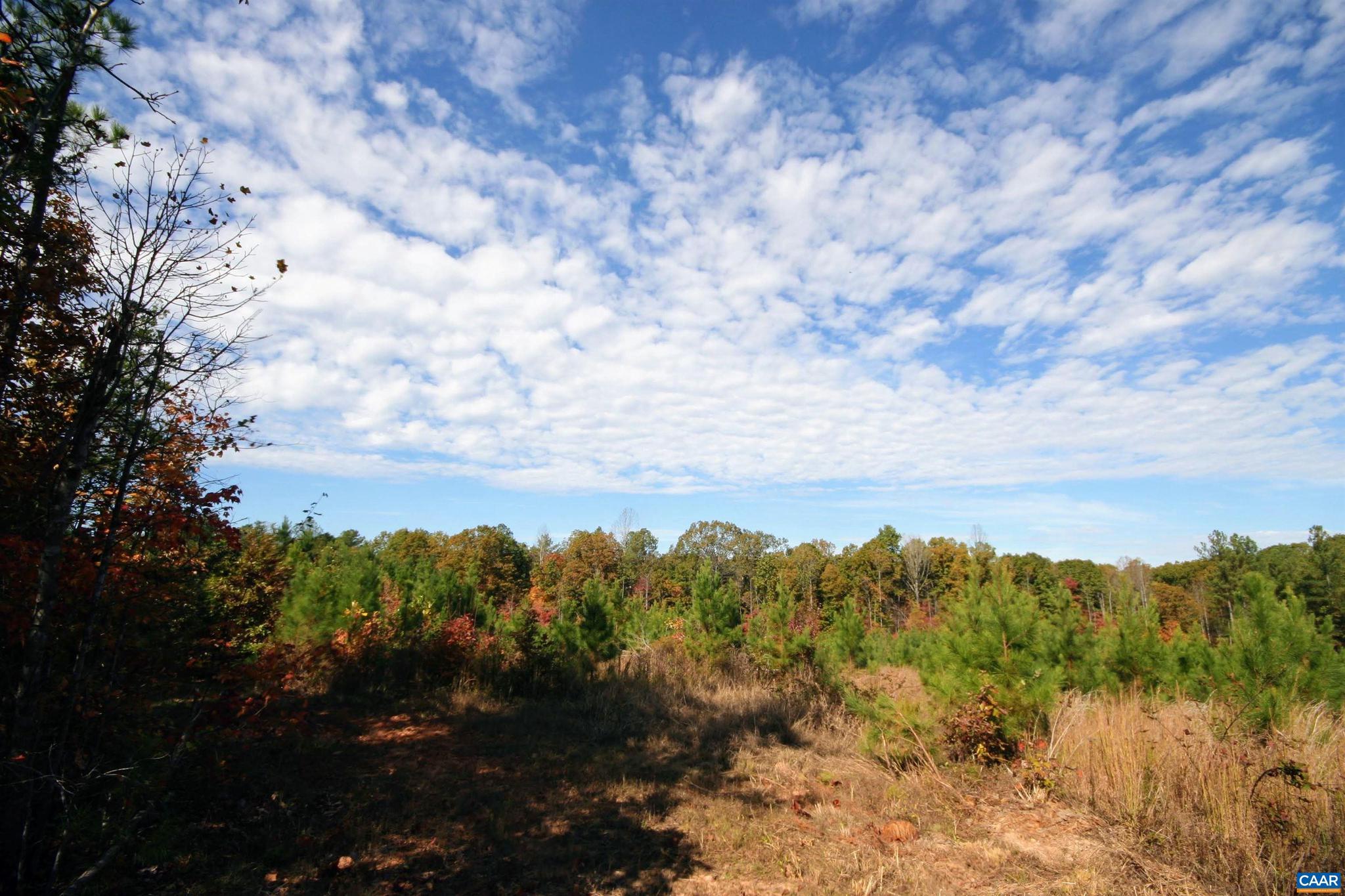 Tba Ridge Road, Unit 1 Arvonia, VA 23004 - Photo 46 of 50 a view of a bunch of trees in a field