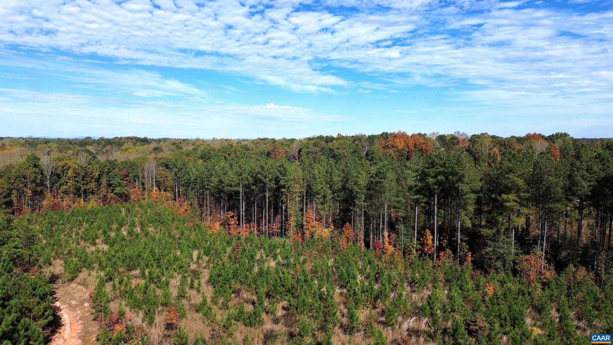 Tba Ridge Road, Unit 1 Arvonia, VA 23004 - Photo 47 of 50 a view of a lush green forest with lots of trees