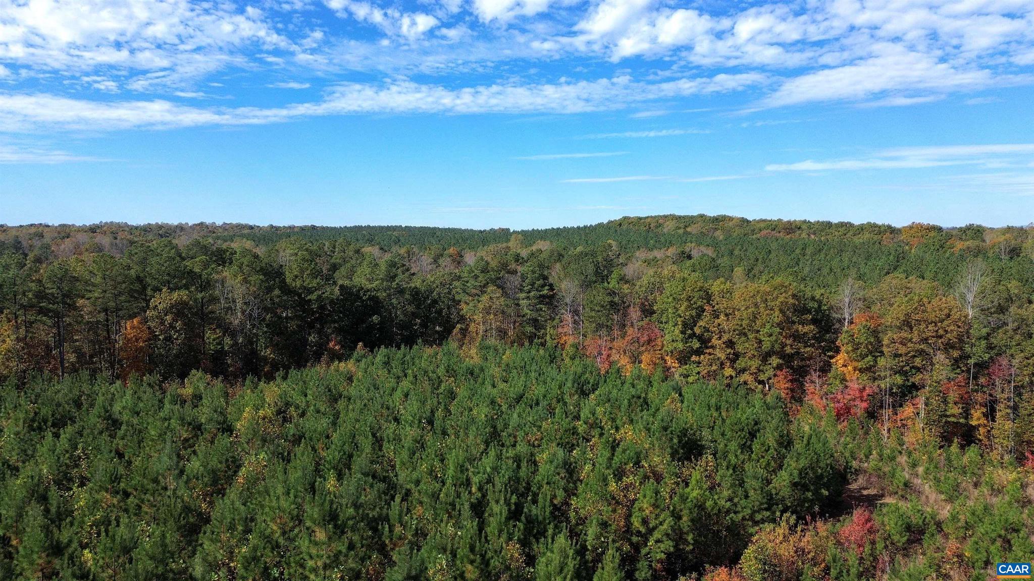 Tba Ridge Road, Unit 1 Arvonia, VA 23004 - Photo 48 of 50 a view of a city with lush green forest