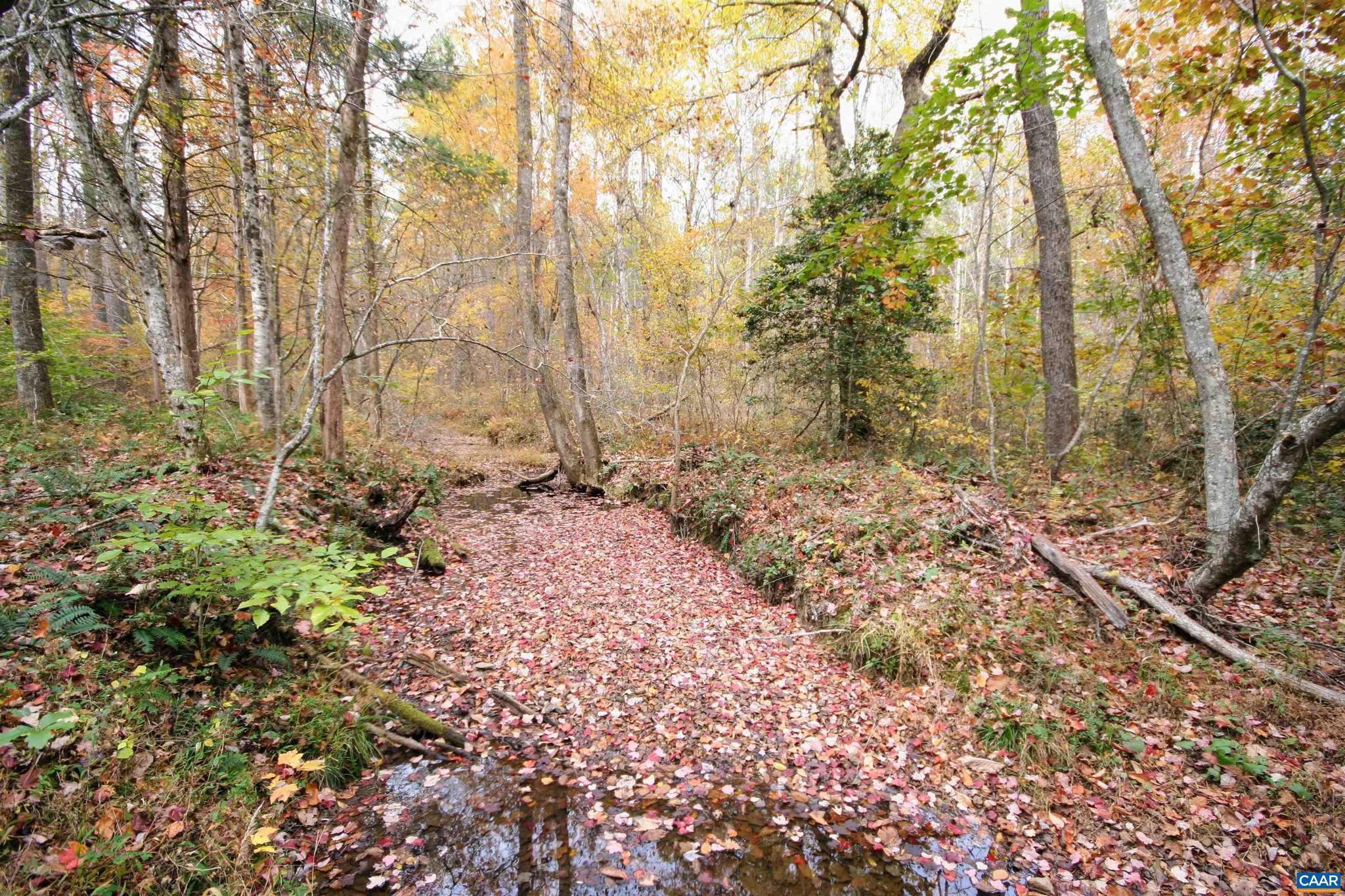 Tba Ridge Road, Unit 1 Arvonia, VA 23004 - Photo 7 of 50 a view of a yard with large trees