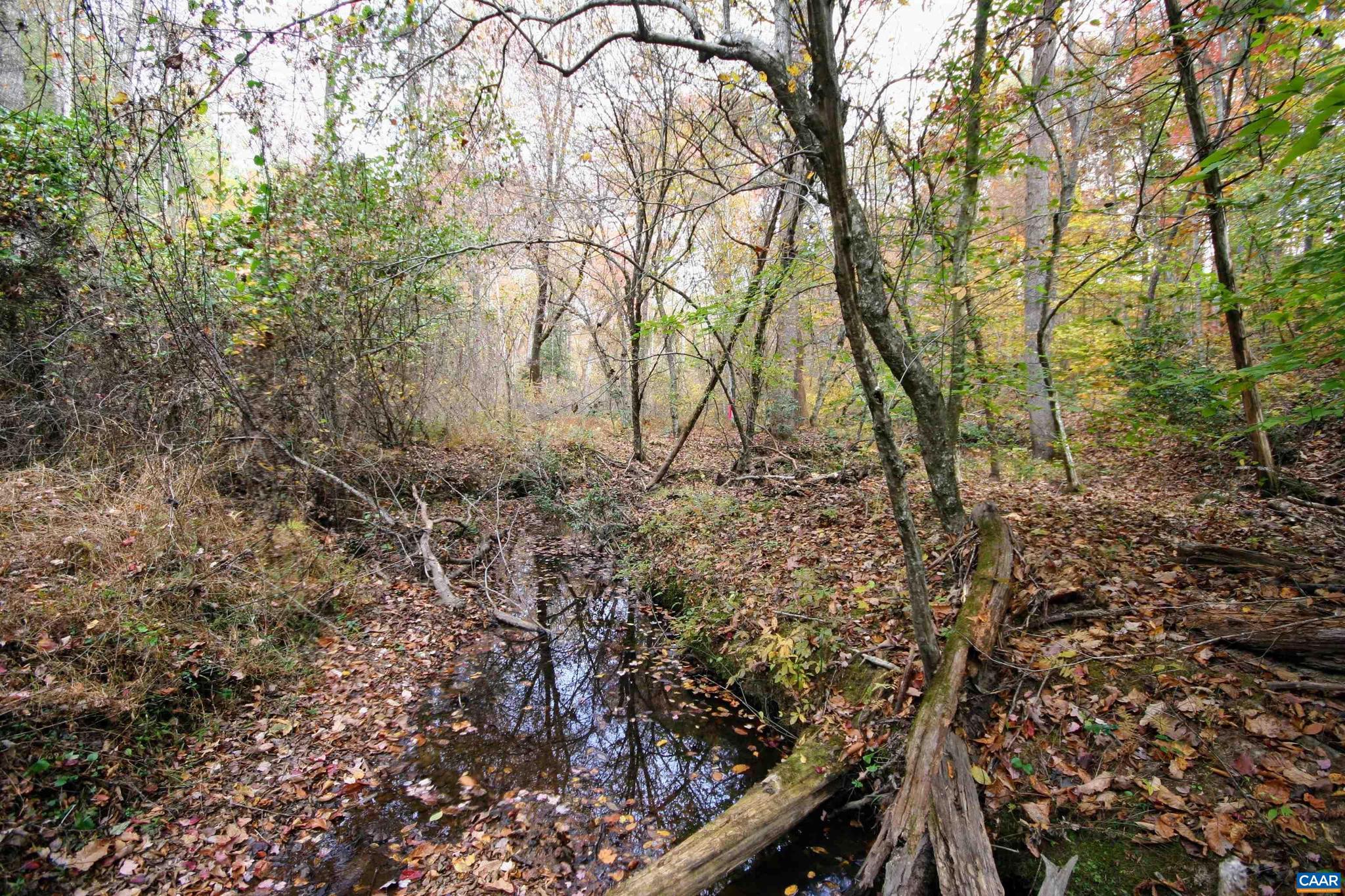Tba Ridge Road, Unit 1 Arvonia, VA 23004 - Photo 9 of 50 a view of a yard with plants and trees
