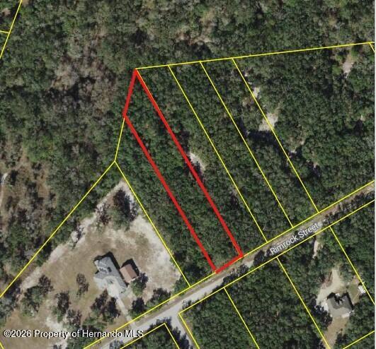 0 Rimrock Street Webster, FL 33597 - Photo 3 of 3