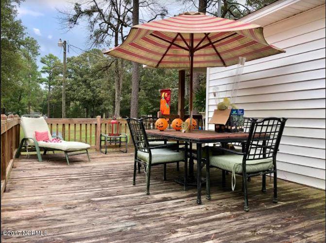 5230 Reedsford Road Clinton, NC 28328 - Photo 3 of 20 back porch