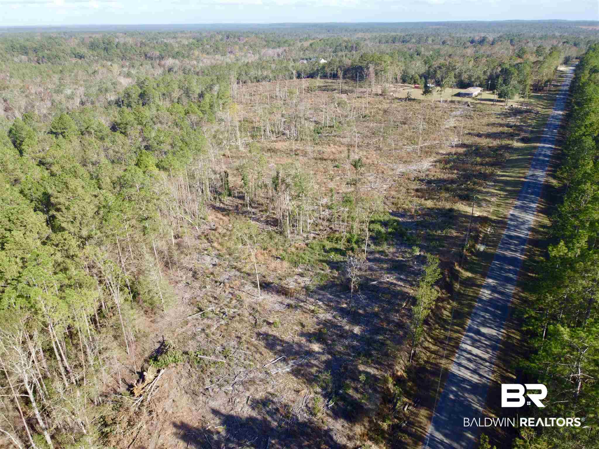0 County Road 19 Chatom, AL 36518 - Photo 13 of 18
