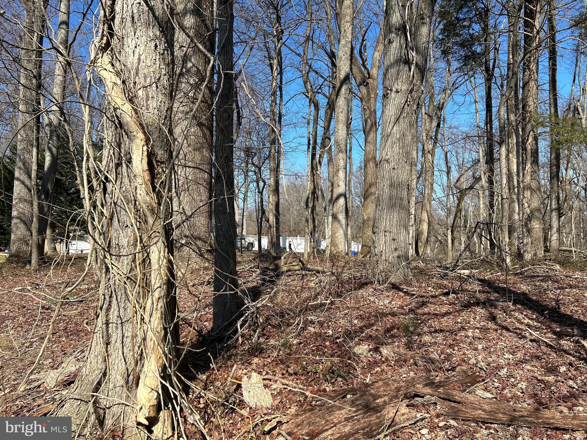 612 Traveller Court Lothian, MD 20711 - Photo 1 of 4 a view of a yard with trees