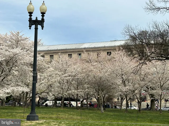 a view of statue in a garden