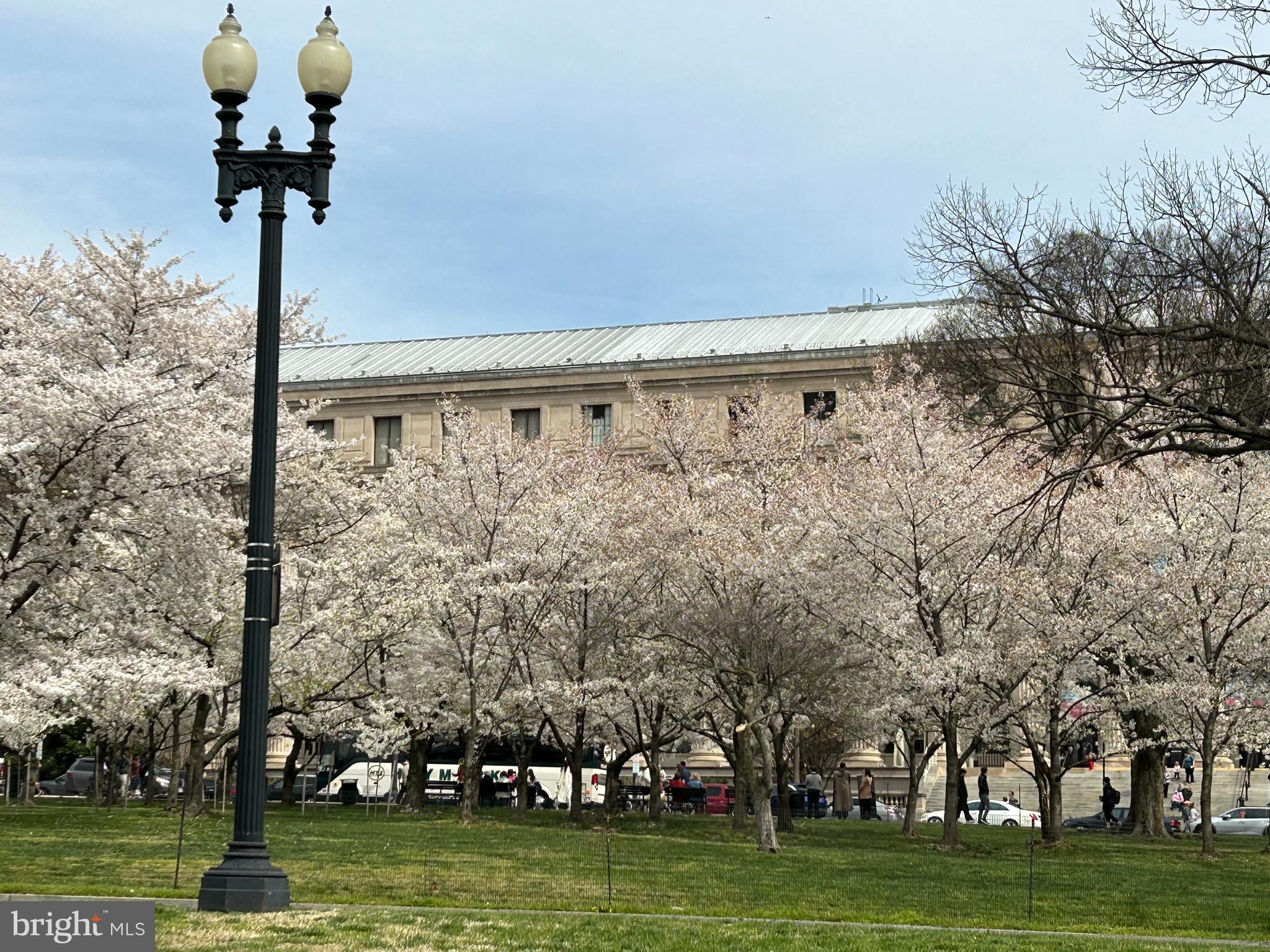 612 Traveller Court Lothian, MD 20711 - Photo 4 of 4 a view of statue in a garden