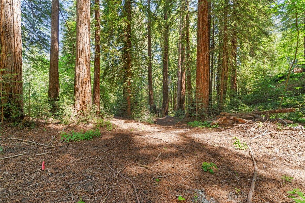 0 Grove Street Los Gatos, CA 95033 - Photo 12 of 15 a backyard of a house with lots of green space