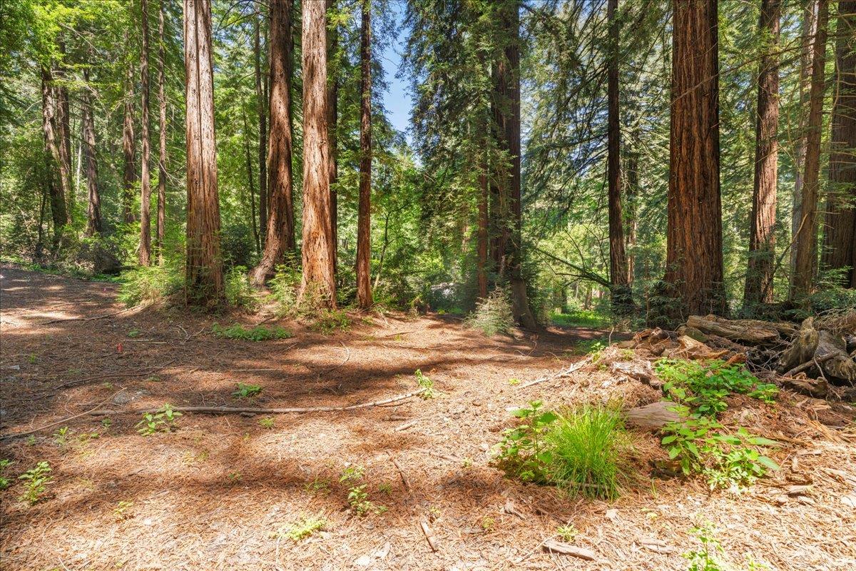 0 Grove Street Los Gatos, CA 95033 - Photo 13 of 15 a backyard of a house with lots of green space