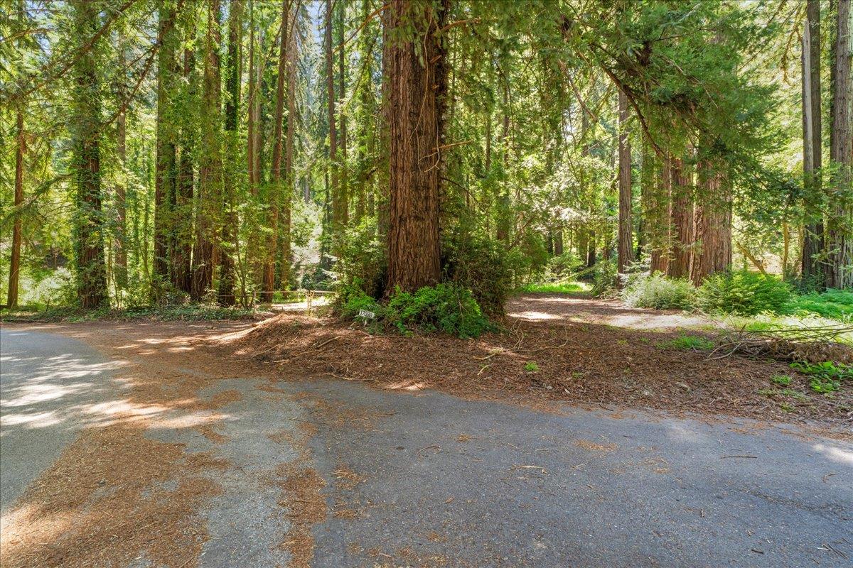 0 Grove Street Los Gatos, CA 95033 - Photo 2 of 15 a view of road and trees