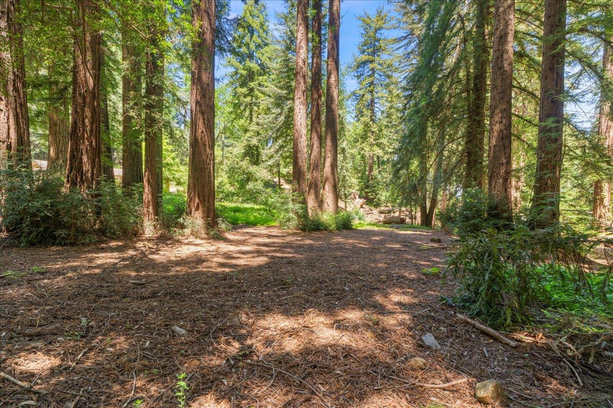 0 Grove Street Los Gatos, CA 95033 - Photo 6 of 15 a view of outdoor space and yard